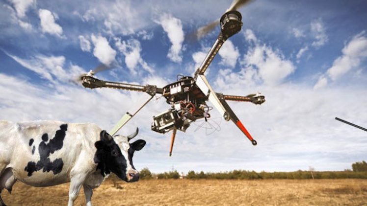 drone agriculture