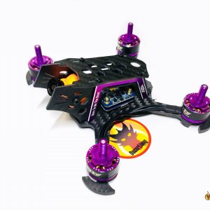 RunCam Split Mini montée dans un chassis