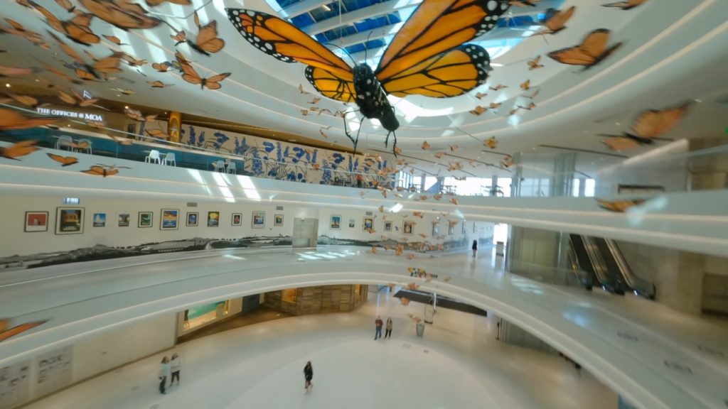 Mall of America Drone FPV