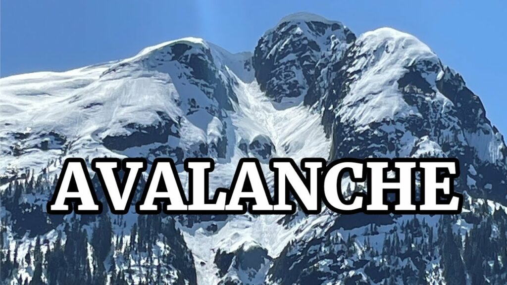 avalanche drone fpv