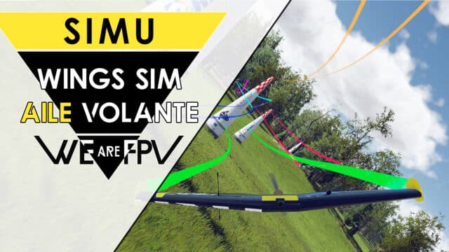 test wings sim review simulateur aile volante débutant