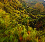 Jungle d’Inararo en drone fpv